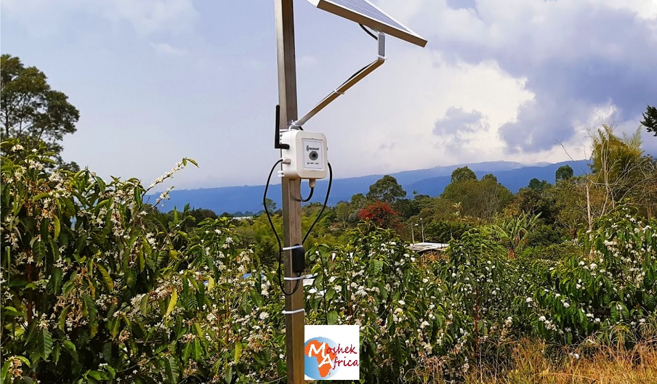 ai crop disease detection device by farmer lifeline technologies