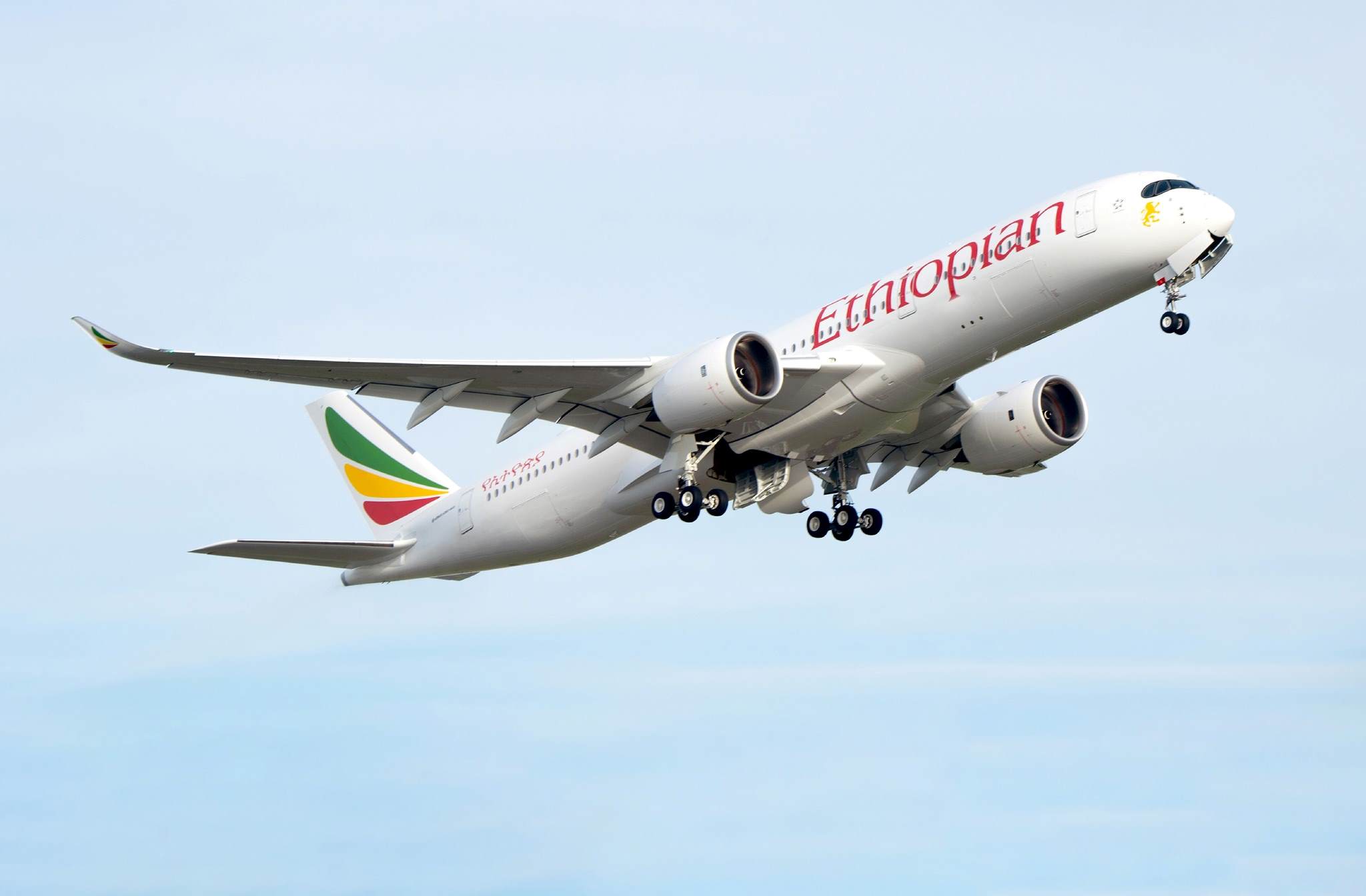 picture showing an ethiopian airplane in flight